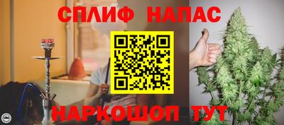 СК Краснознаменск