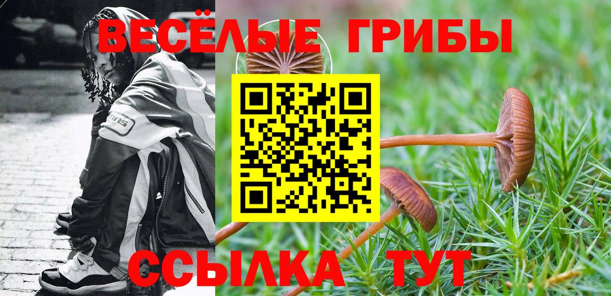 Кашира  Галлюциногенные грибы прущие грибы  Вход с VPN 